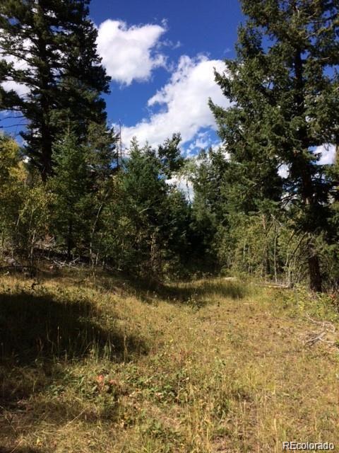 0 South Turkey Creek Road Conifer, CO 80433 - Photo 14 of 19 Gallery Image 14