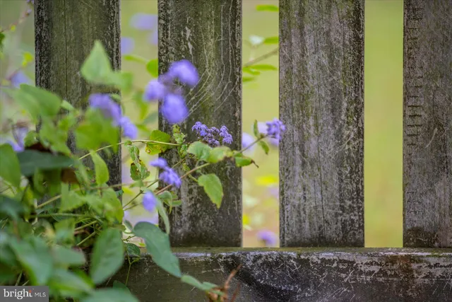 $425,000 | 203 West Market Street, Snow Hill, MD 21863