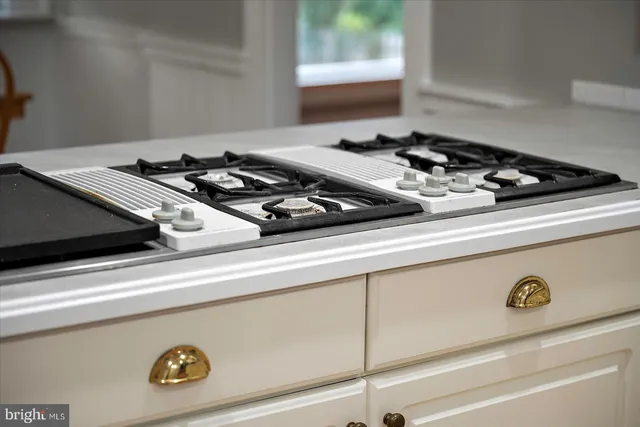 a view of a big yard with plants and large trees