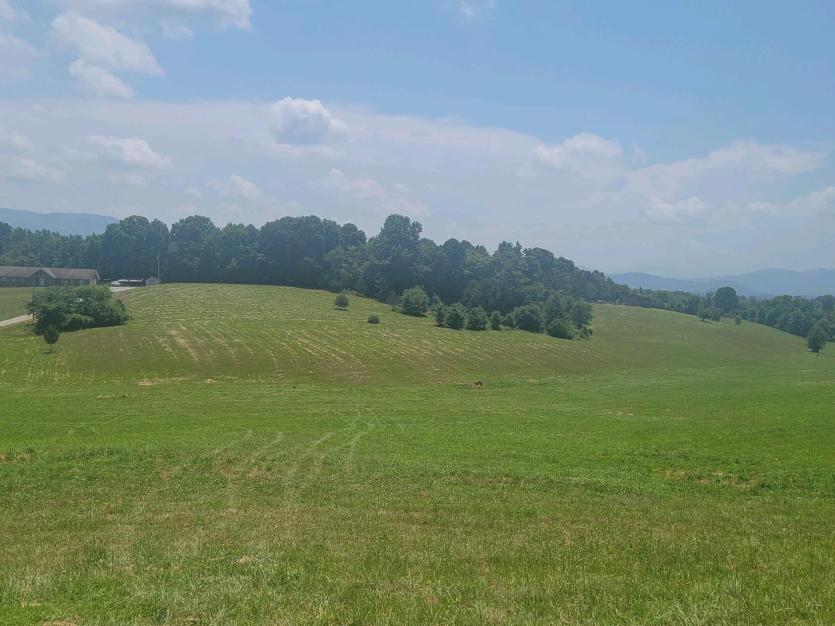 Lot 3 Sunnyside Road, Unit 3 Greeneville, TN 37743 - Photo 5 of 6 Attachment 6