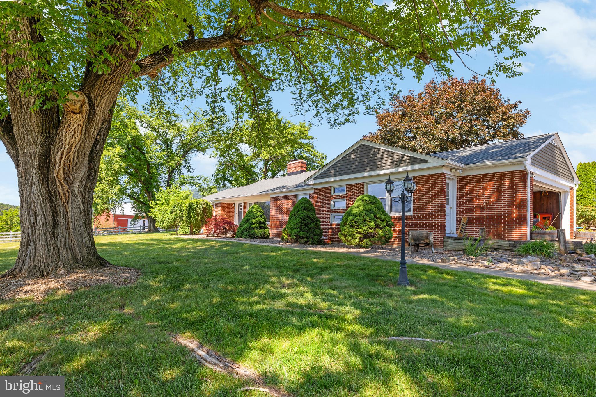 14441 North Mountain Road Broadway, VA 22815 - Photo 16 of 69 Shaded trees