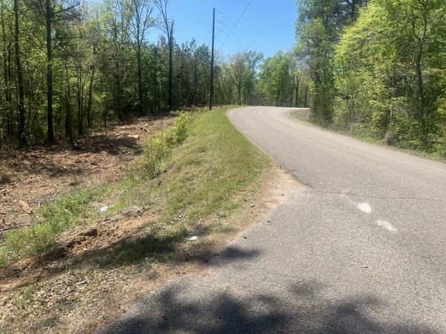 Hines Gin Road Selmer, TN 38375 - Photo 2 of 6