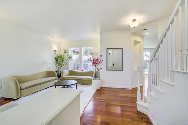 a living room with furniture and a potted plant