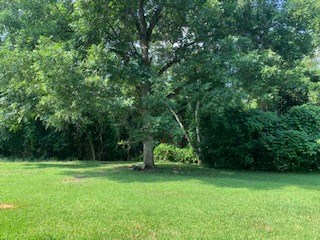 5615 Spring Street Warm Springs, GA 31830 - Photo 28 of 30