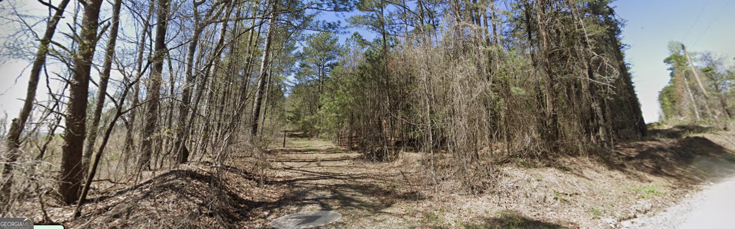 4-west Dry Pond Road, Unit LOT #4 WEST Ranger, GA 30734 - Photo 12 of 17 a view of backyard with tree