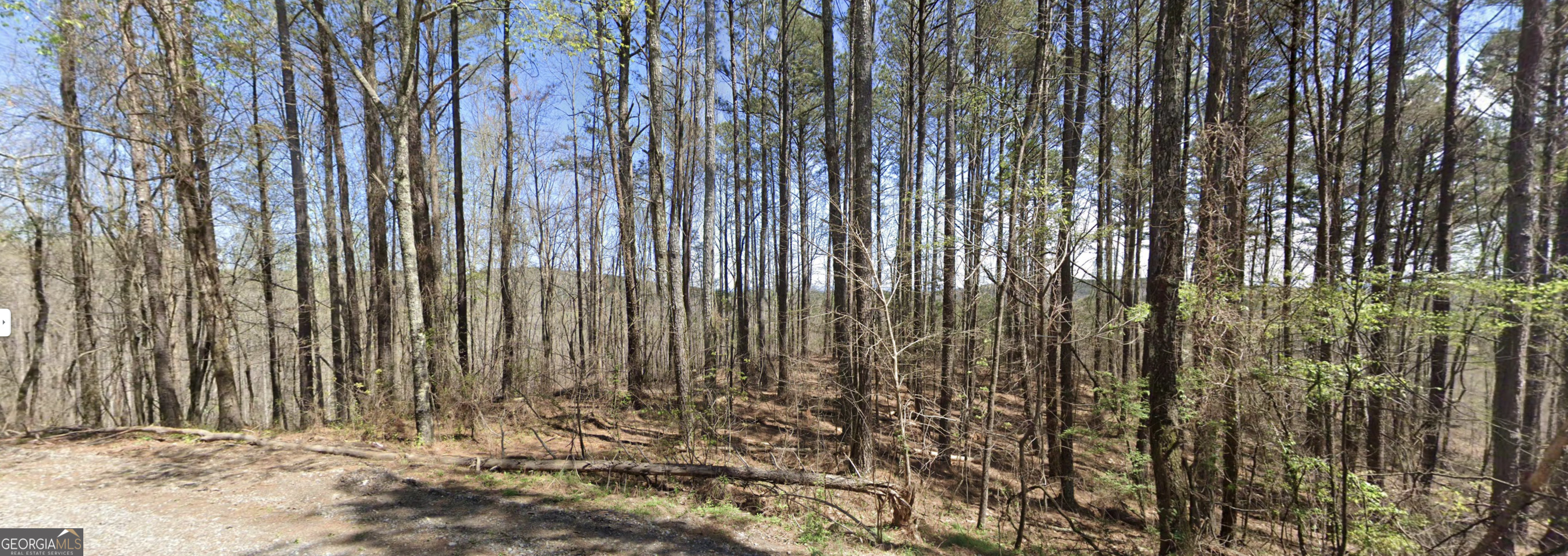 4-west Dry Pond Road, Unit LOT #4 WEST Ranger, GA 30734 - Photo 5 of 16 a view of a backyard with pathway