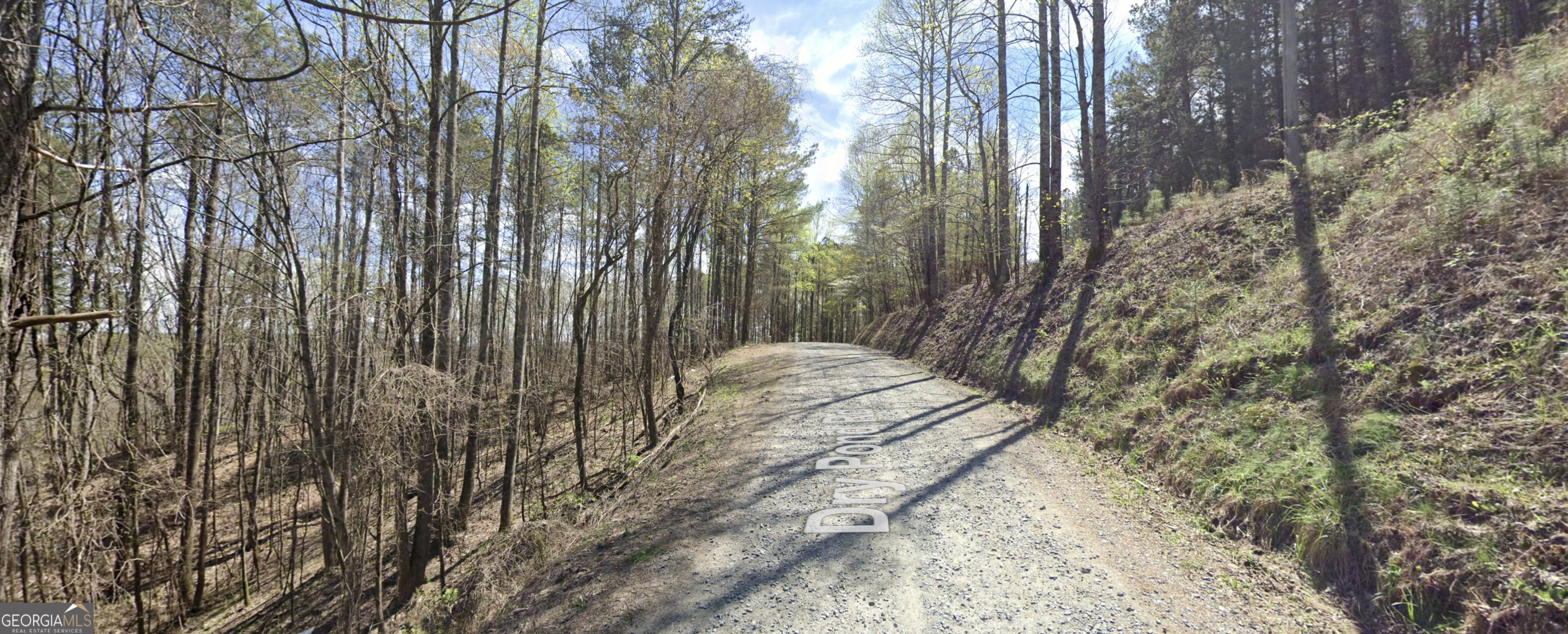 4-west Dry Pond Road, Unit LOT #4 WEST Ranger, GA 30734 - Photo 6 of 16 a view of a yard with plants and trees