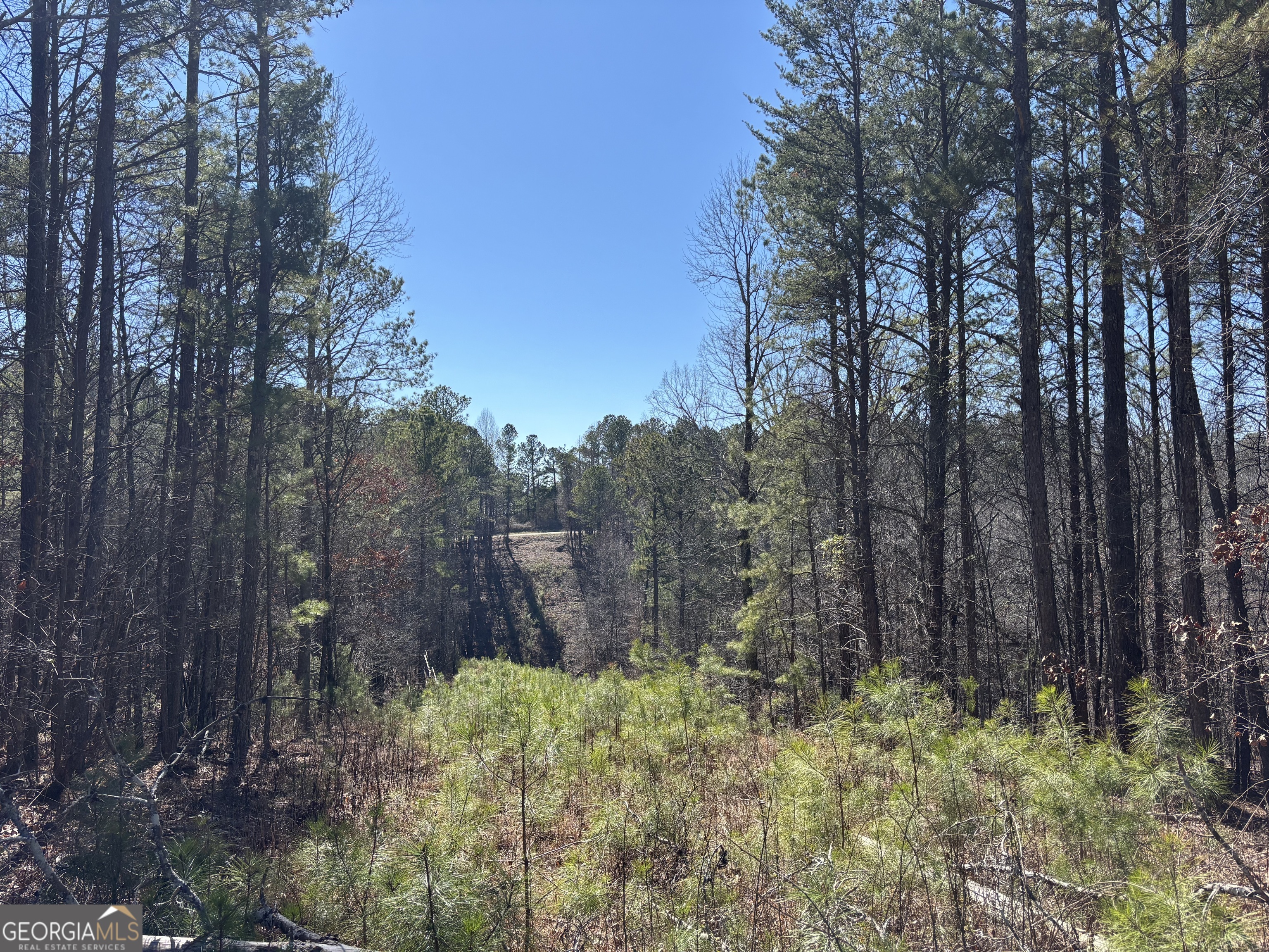 4-west Dry Pond Road, Unit LOT #4 WEST Ranger, GA 30734 - Photo 6 of 17 a backyard of a house with trees all around