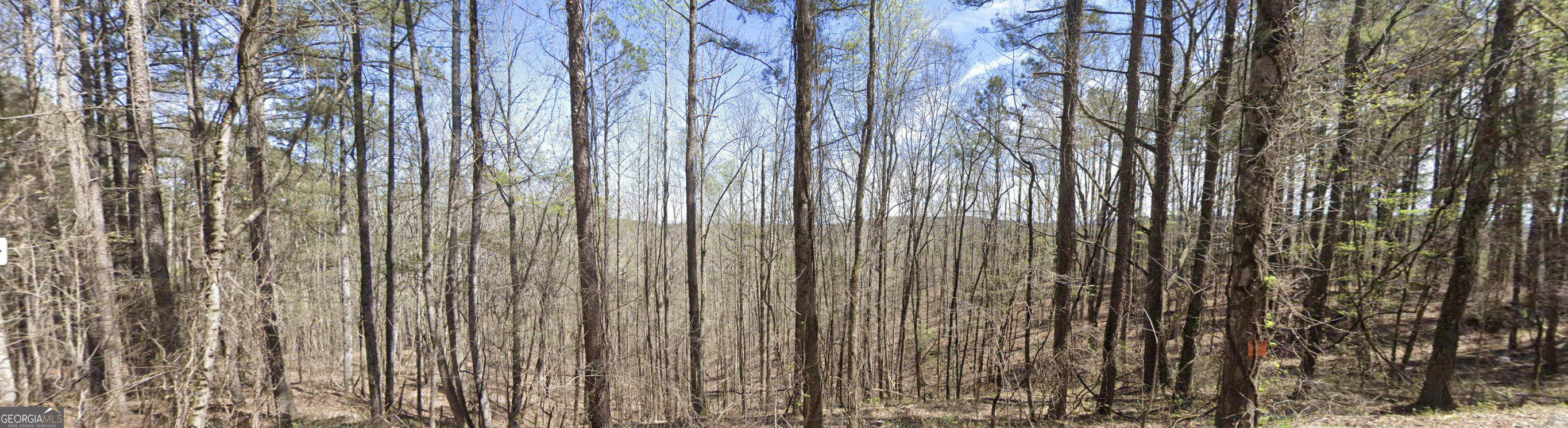 4-west Dry Pond Road, Unit LOT #4 WEST Ranger, GA 30734 - Photo 7 of 16 a view of a forest with trees