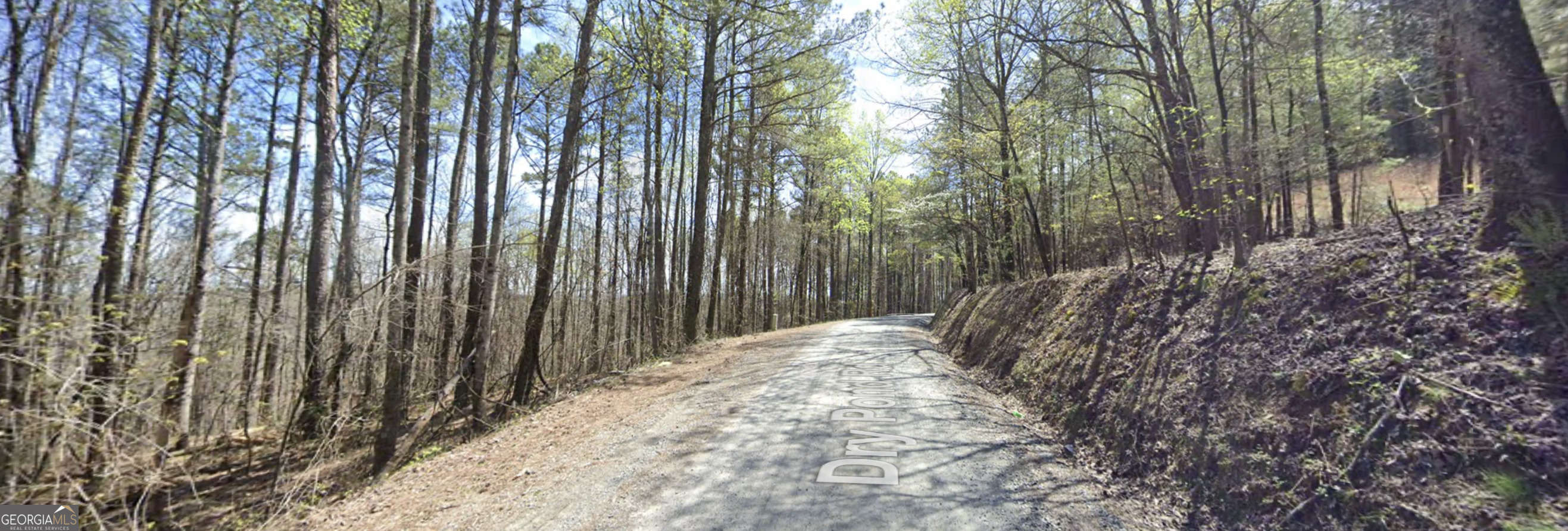 4-west Dry Pond Road, Unit LOT #4 WEST Ranger, GA 30734 - Photo 8 of 16 a view of a backyard with trees