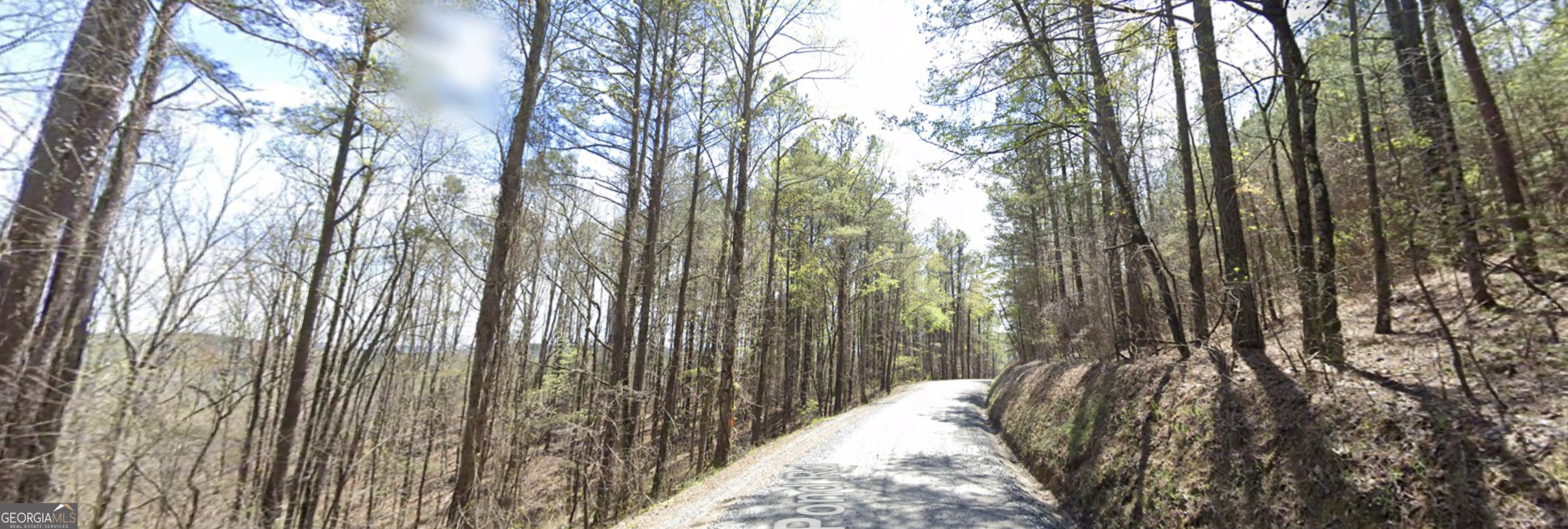 4-west Dry Pond Road, Unit LOT #4 WEST Ranger, GA 30734 - Photo 9 of 16 a view of outdoor space and garden