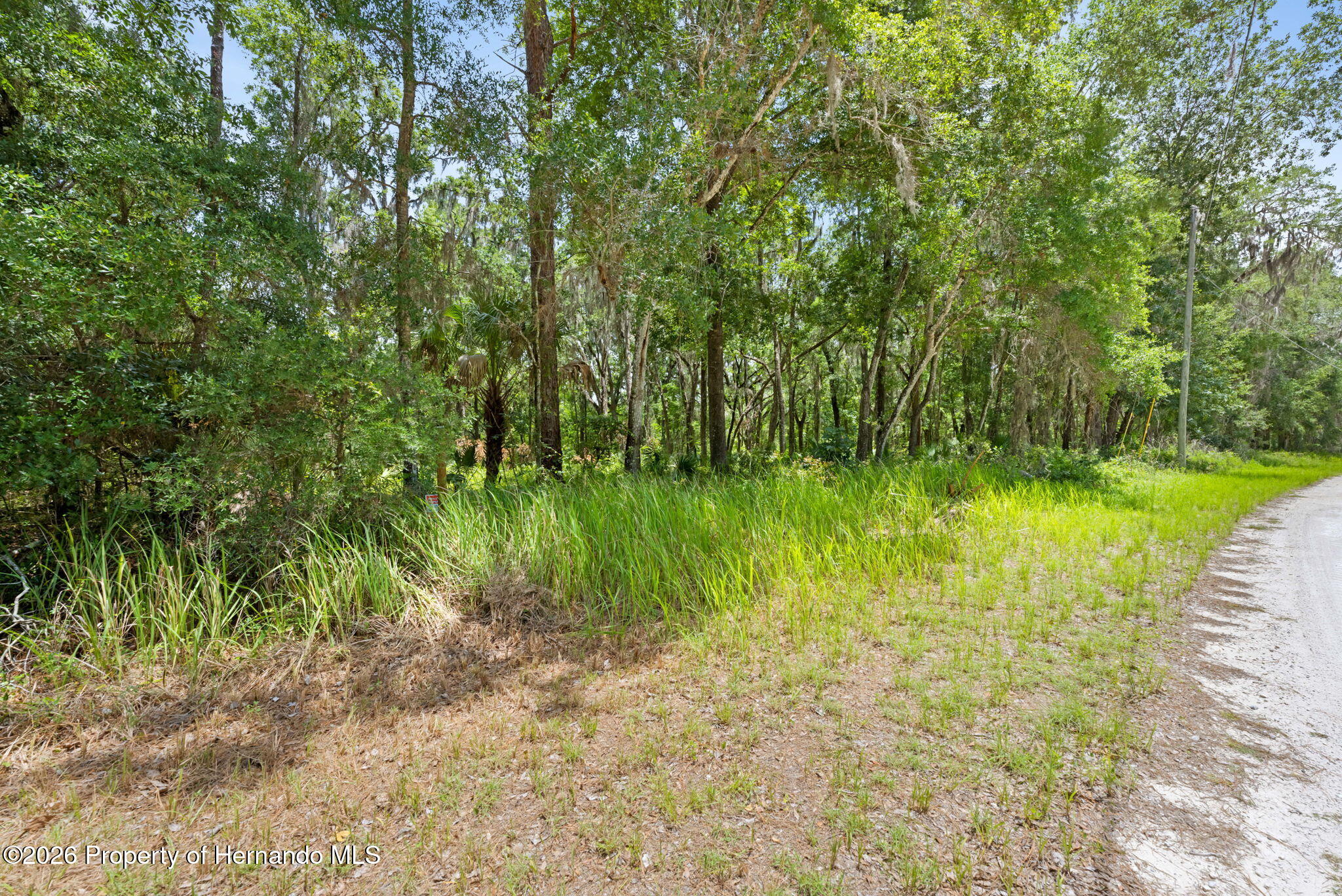 0 Ricebird Avenue Weeki Wachee, FL 34614 - Photo 20 of 26
