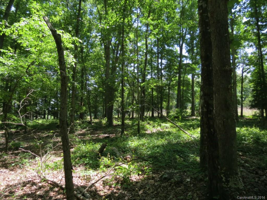 10-ac Rowells Road Catawba, SC 29704 - Photo 1 of 9 Gallery Image 1