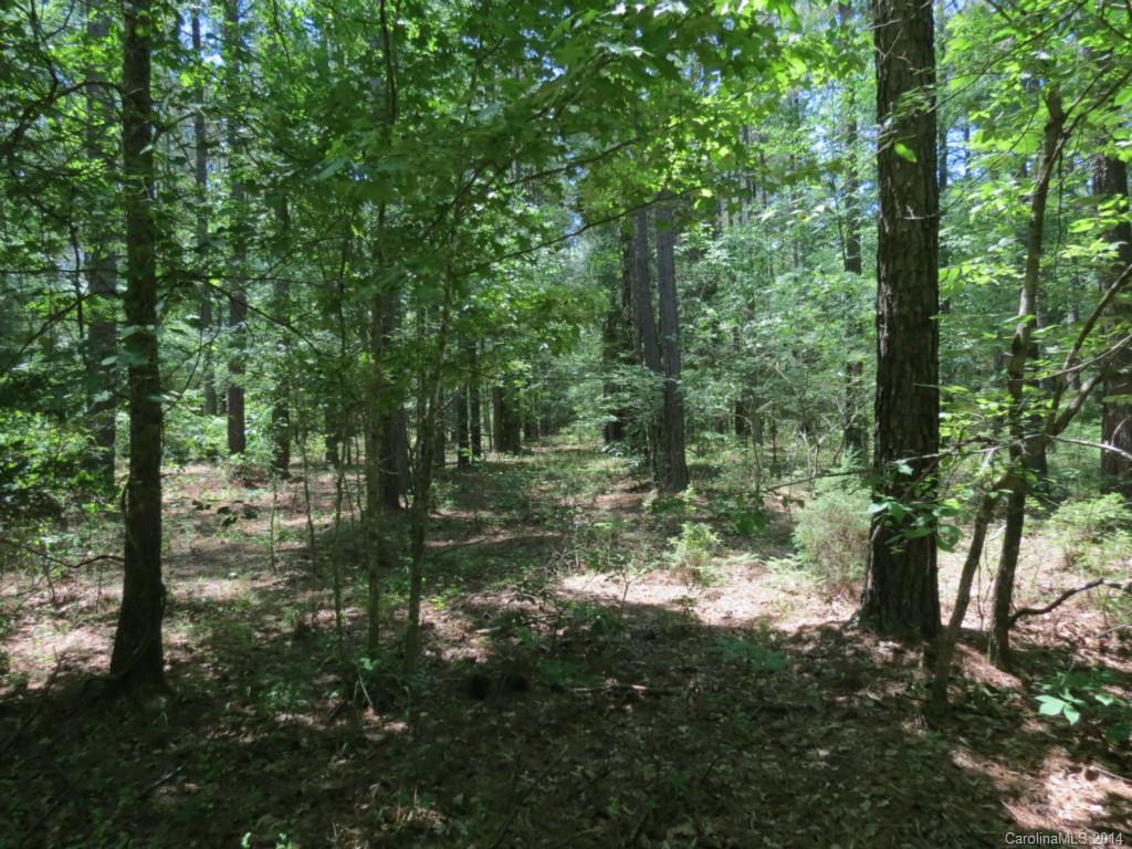10-ac Rowells Road Catawba, SC 29704 - Photo 2 of 9 Gallery Image 2