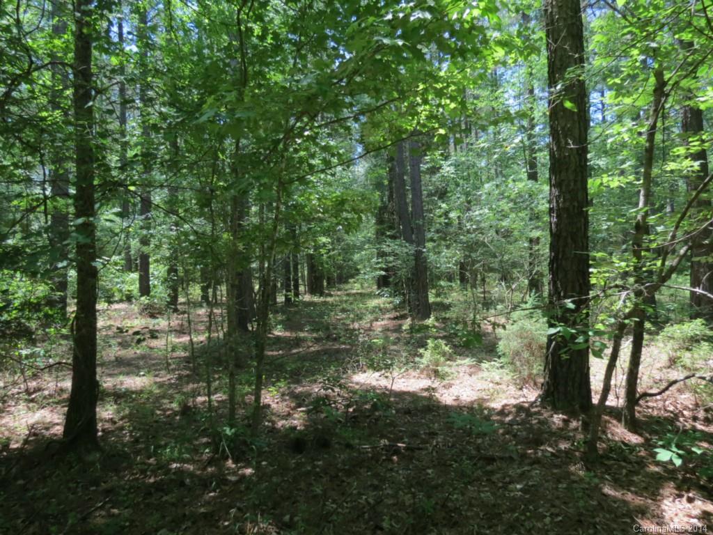 10-ac Rowells Road Catawba, SC 29704 - Photo 3 of 9 Gallery Image 3