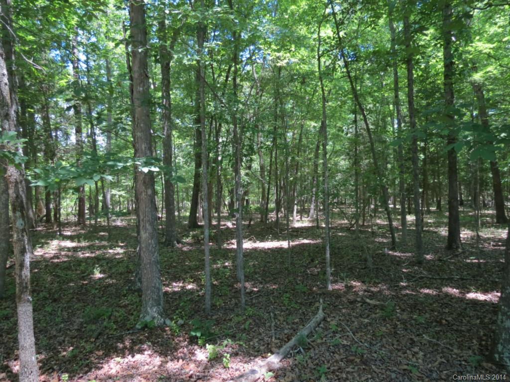 10-ac Rowells Road Catawba, SC 29704 - Photo 4 of 9 Gallery Image 4