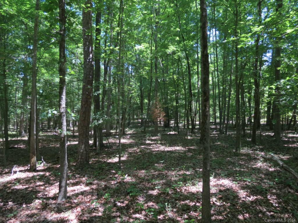 10-ac Rowells Road Catawba, SC 29704 - Photo 6 of 9 Gallery Image 6