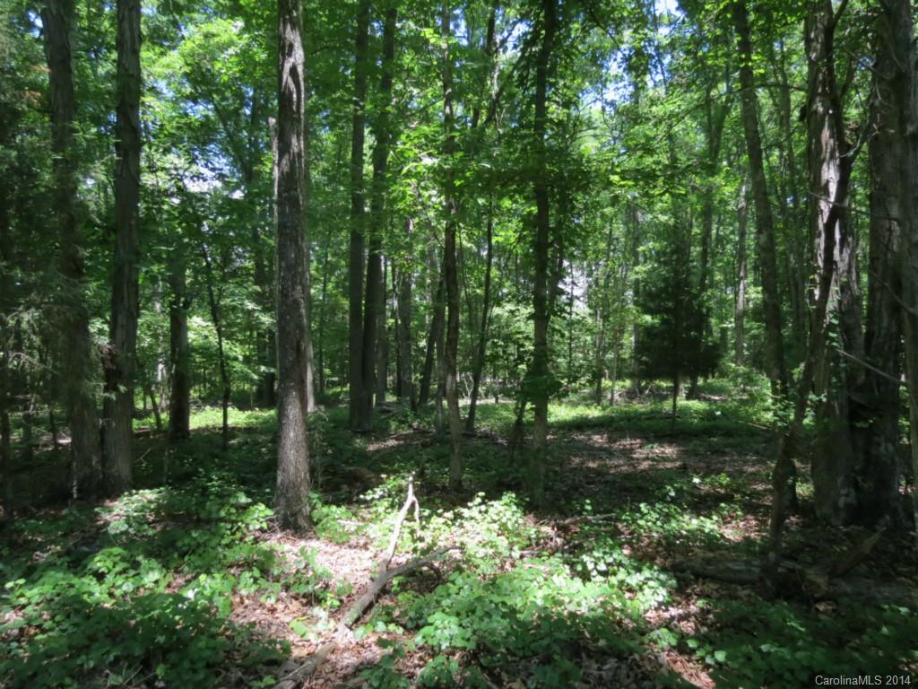 10-ac Rowells Road Catawba, SC 29704 - Photo 7 of 9 Gallery Image 7