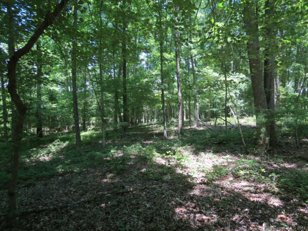 10-ac Rowells Road Catawba, SC 29704 - Photo 8 of 9 Gallery Image 8