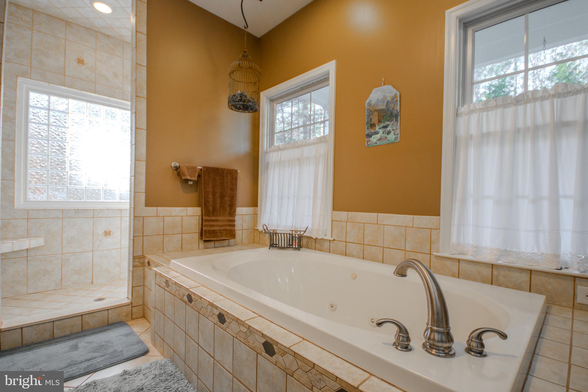 7395 Cherry Walk Road Hebron, MD 21830 - Photo 30 of 61 a bathroom with a tub and a shower