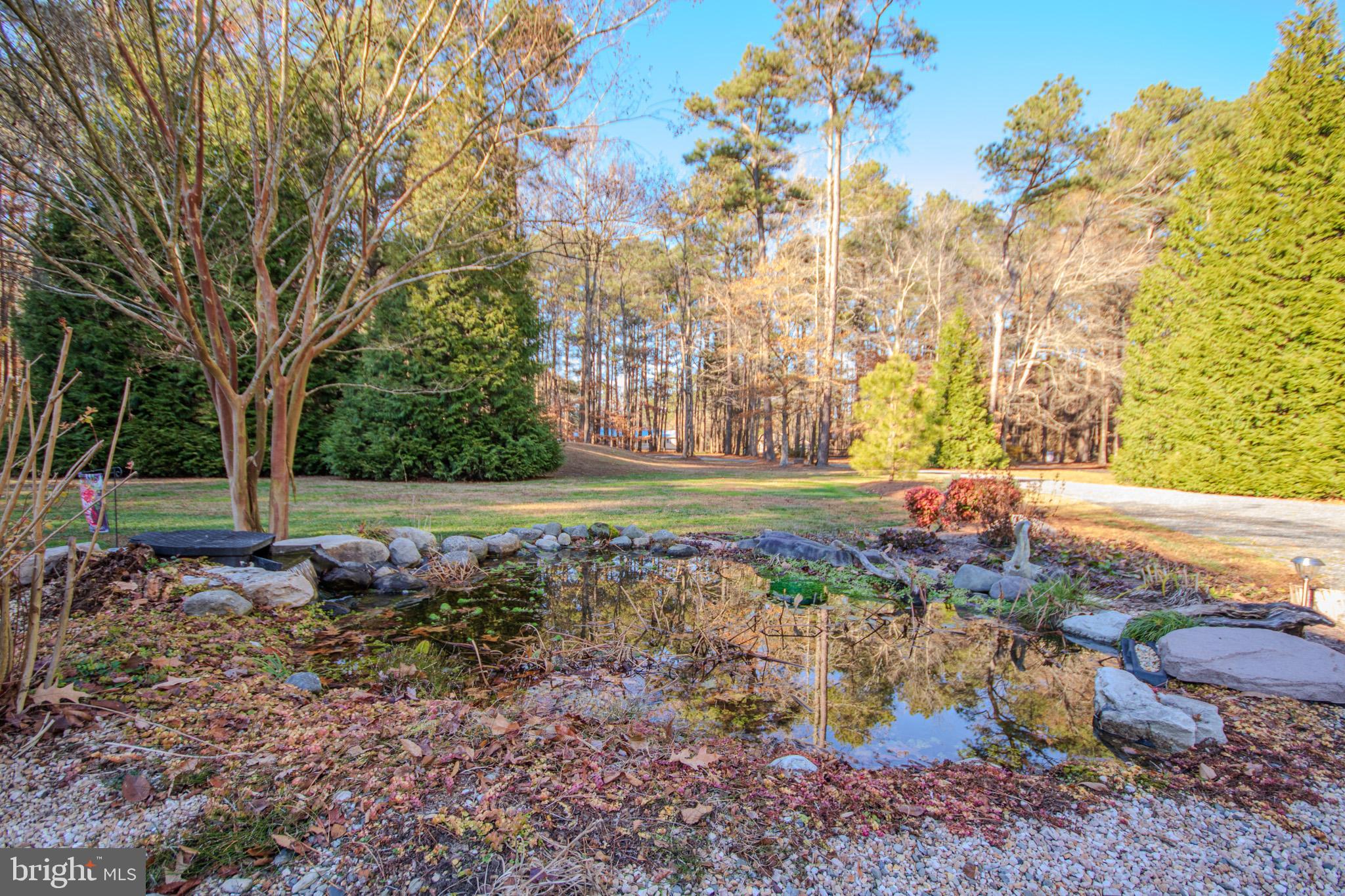 7395 Cherry Walk Road Hebron, MD 21830 - Photo 57 of 61 a view of a yard with large trees