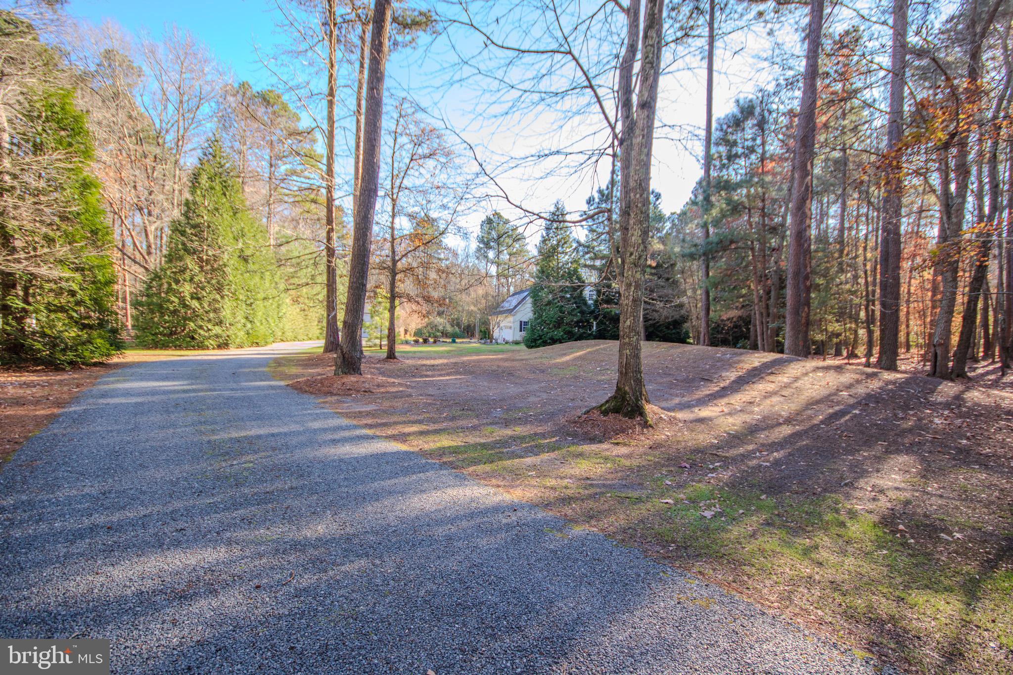 7395 Cherry Walk Road Hebron, MD 21830 - Photo 61 of 61 Serene driveway through wooded landscape.
