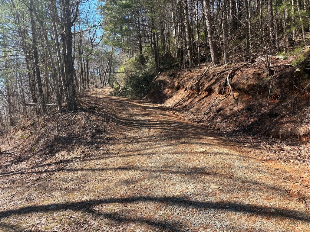 Lots Lots Rich Mountain Road Ellijay, GA 30540 - Photo 11 of 16 Gallery Image 11