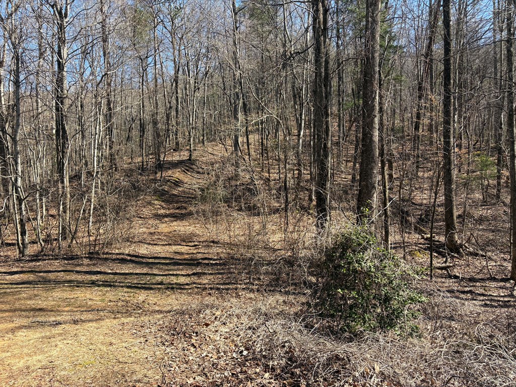 Lots Lots Rich Mountain Road Ellijay, GA 30540 - Photo 12 of 16 Gallery Image 12
