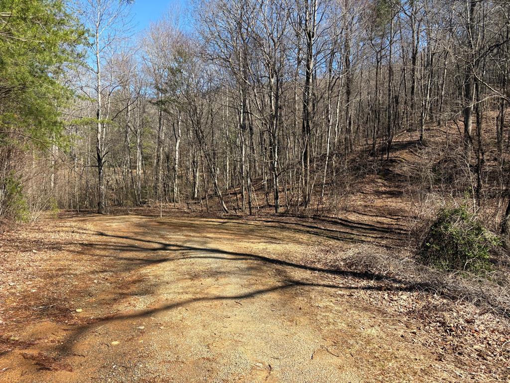 Lots Lots Rich Mountain Road Ellijay, GA 30540 - Photo 2 of 16 Gallery Image 2