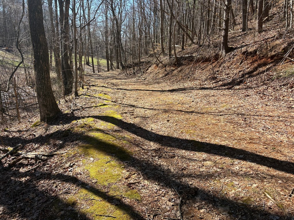 Lots Lots Rich Mountain Road Ellijay, GA 30540 - Photo 4 of 16 Gallery Image 4