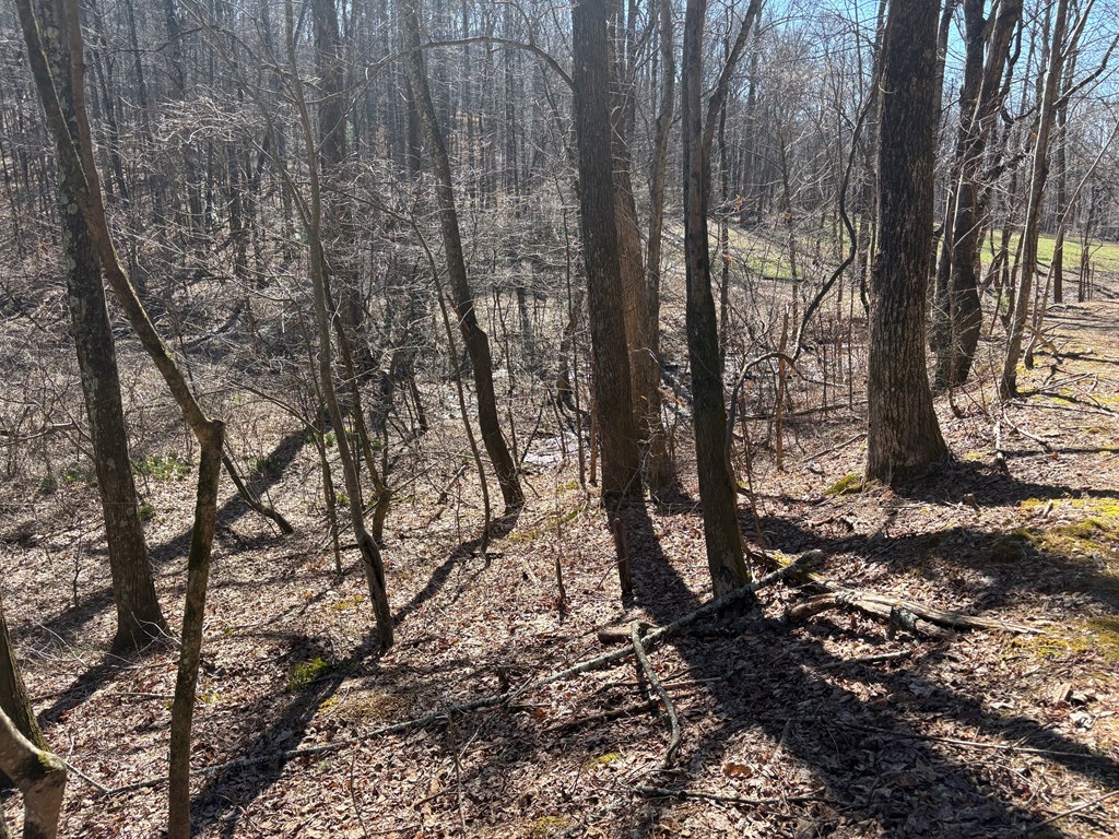Lots Lots Rich Mountain Road Ellijay, GA 30540 - Photo 6 of 16 Gallery Image 6