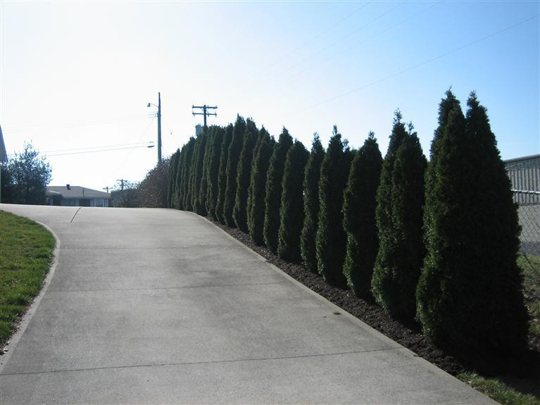 105 Hemlock Road Winchester, KY 40391 - Photo 27 of 31 Photo 28