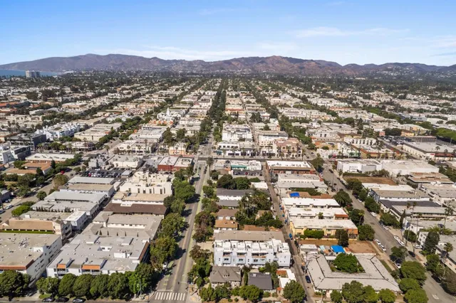 a street sign that is on a tree