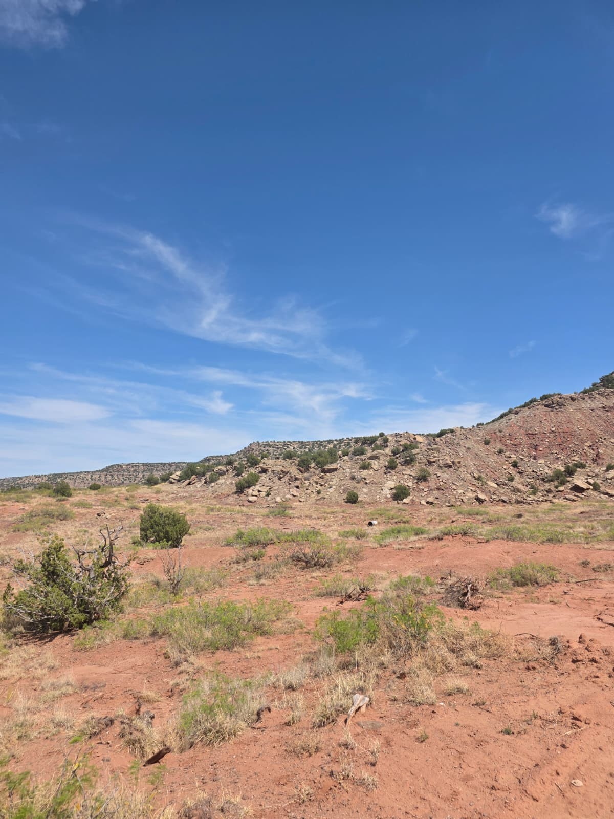 10 Rancho Lake Newkirk, NM 88431 - Photo 2 of 7