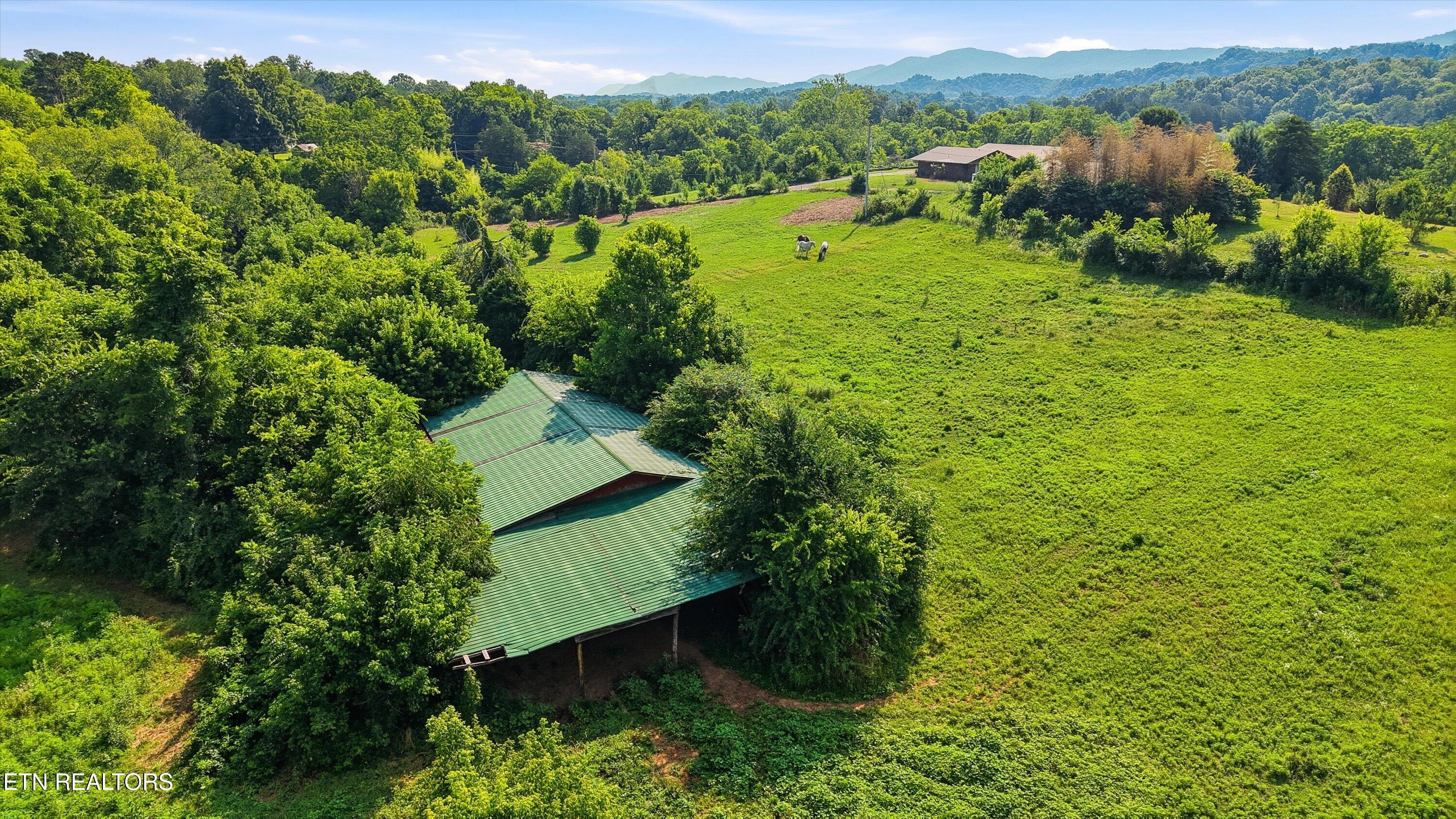 3030 New Blockhouse Road Maryville, TN 37803 - Photo 10 of 60 64-3030 New Blockhouse Rd14
