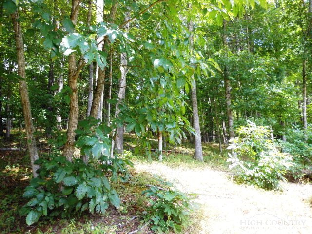 2008 Shatley Springs Road Crumpler, NC 28617 - Photo 18 of 30 Gallery Image 18