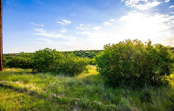 a view of a garden