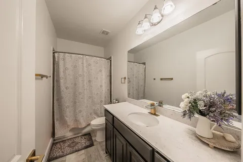 a bathroom with a sink a toilet and shower