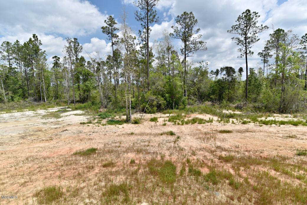 1571 East McHenry Road Perkinston, MS 39573 - Photo 4 of 37 1571 E. McHenry Rd. 004