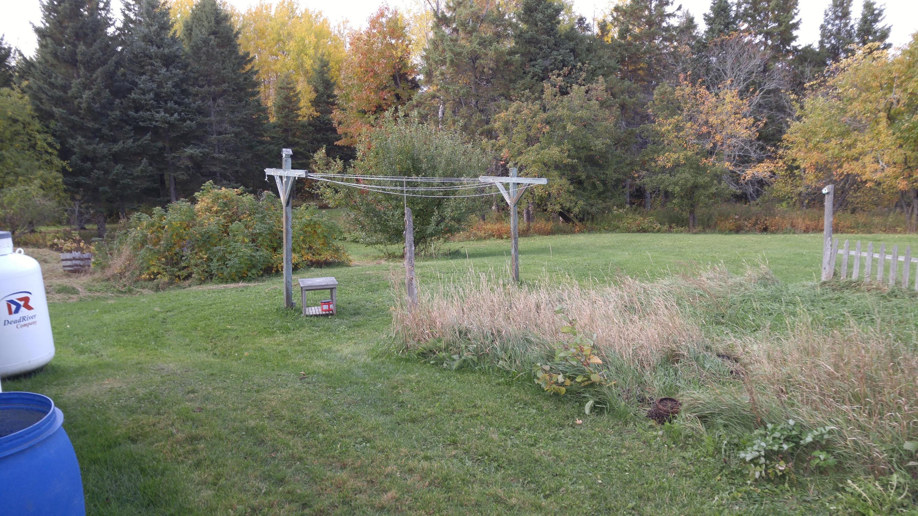 124 Snow Road Bridgewater, ME 04735 - Photo 51 of 56 back yard