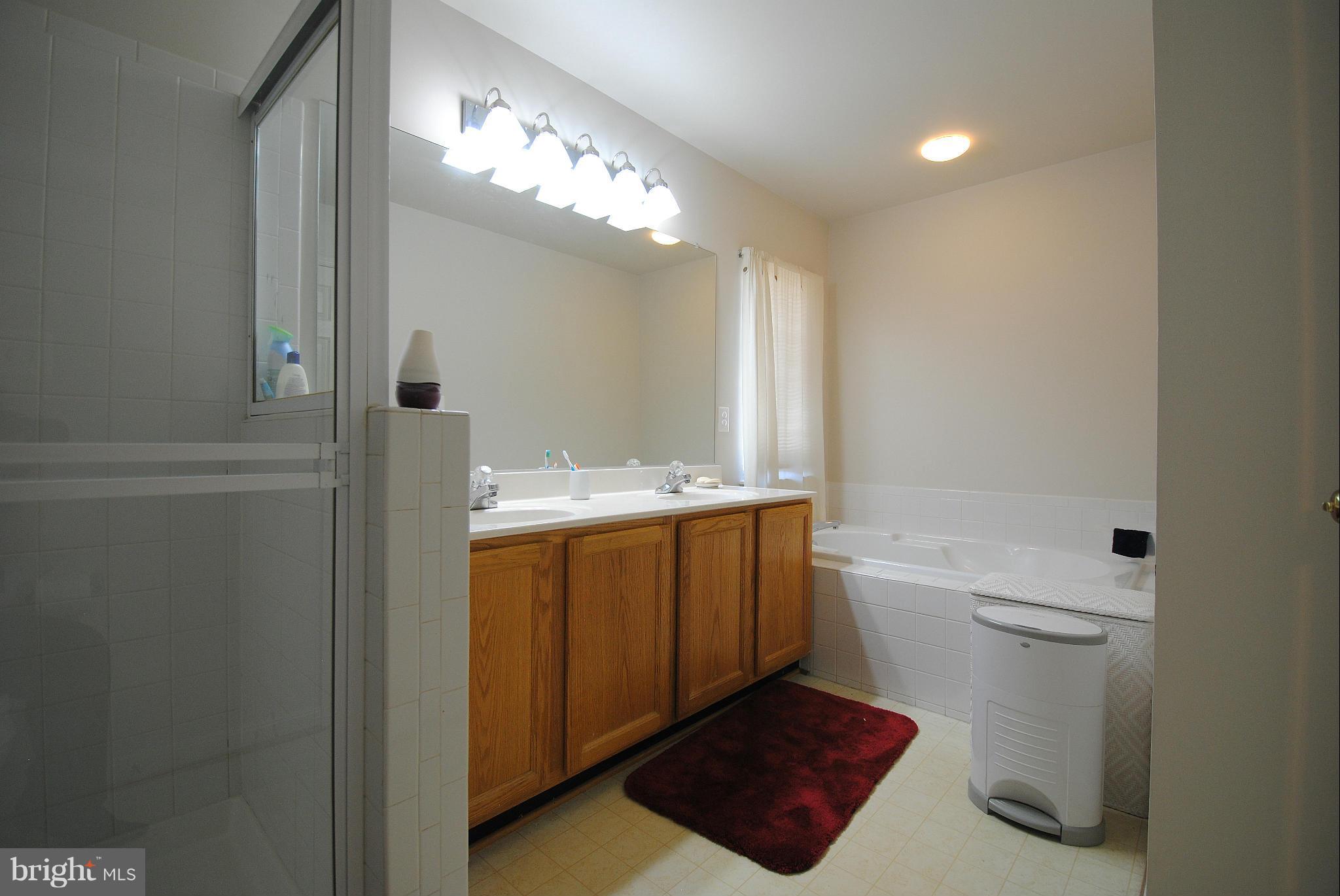 9118 Fox Park Road Clinton, MD 20735 - Photo 20 of 28 Master Bathroom #3