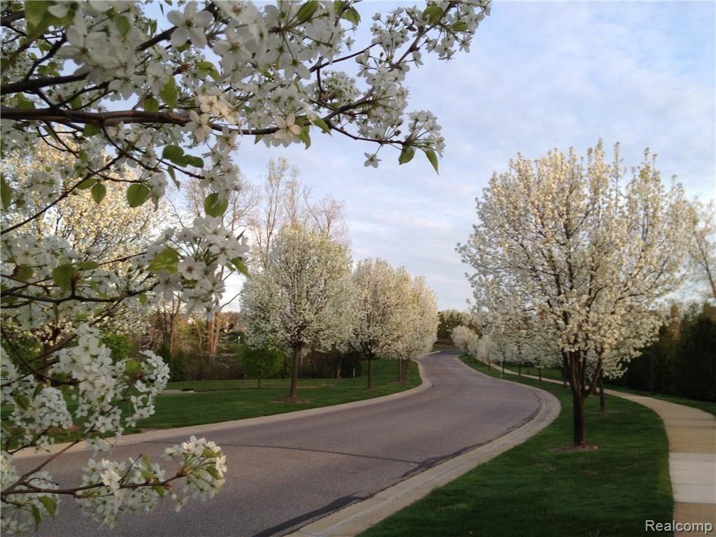 3374 Tremonte Circle Rochester, MI 48306 - Photo 14 of 17 image.JPG