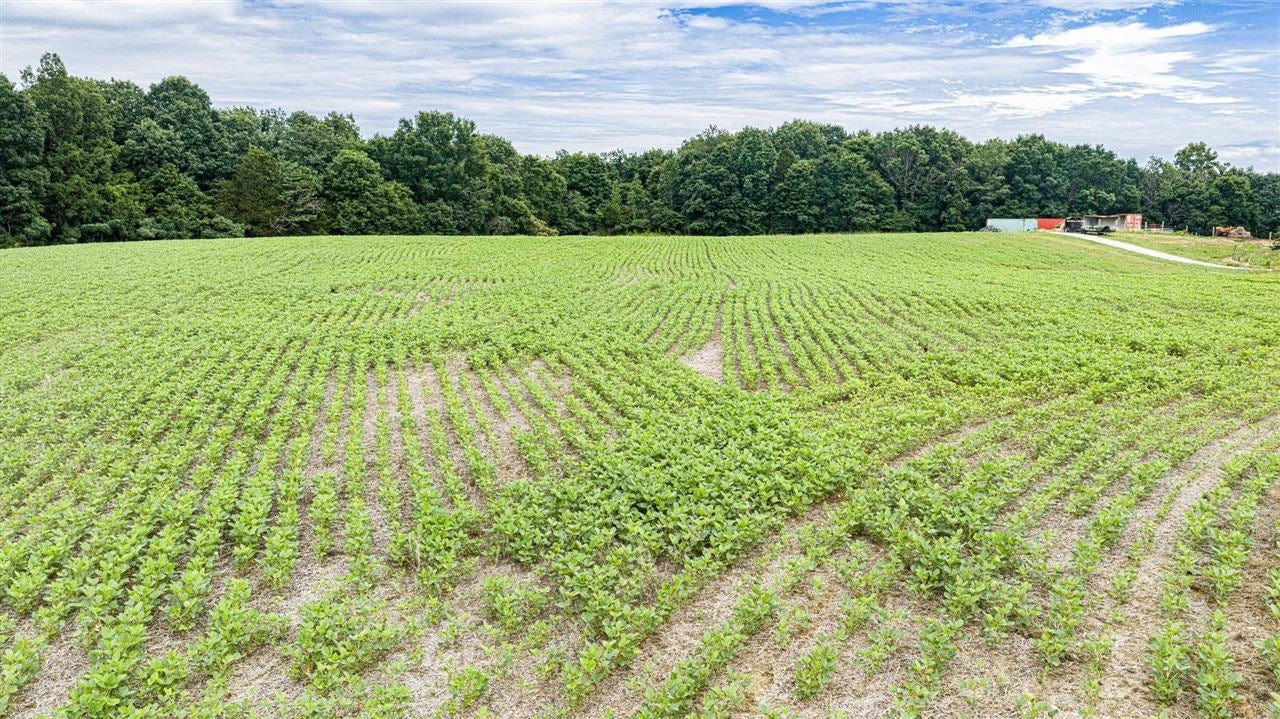 3604 Mt Zion Road Brownsville, KY 42210 - Photo 29 of 32 Gallery Image 29
