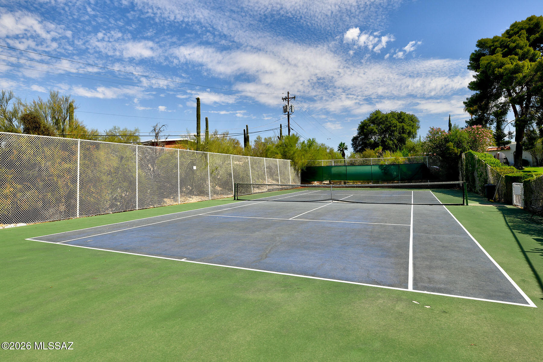 711 West Las Lomitas Road Tucson, AZ 85704 - Photo 28 of 29 TENNIS COURT