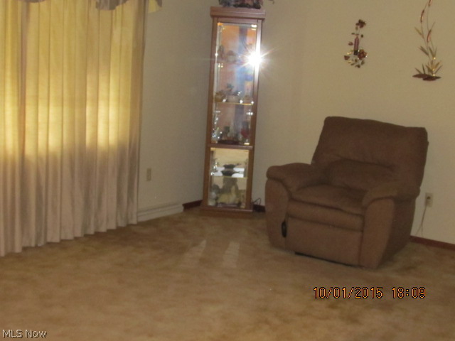 7585 Chippewa Road Lodi, OH 44254 - Photo 5 of 16 Gallery Image 5