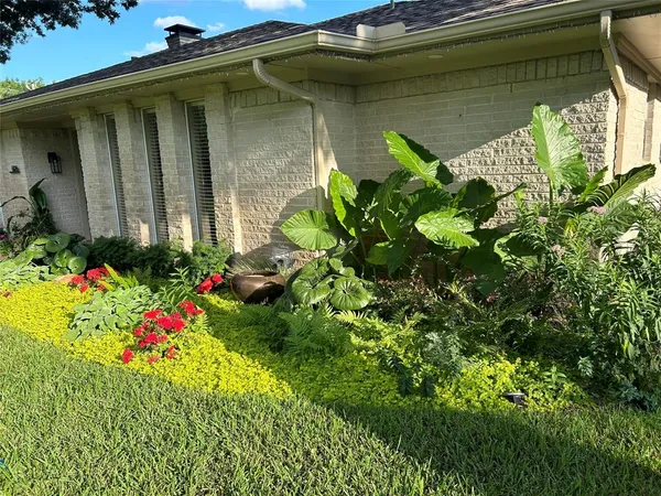 a flower plants in front of a house