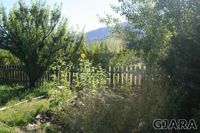 3839 G Road Palisade, CO 81526 - Photo 8 of 13 a view of a yard