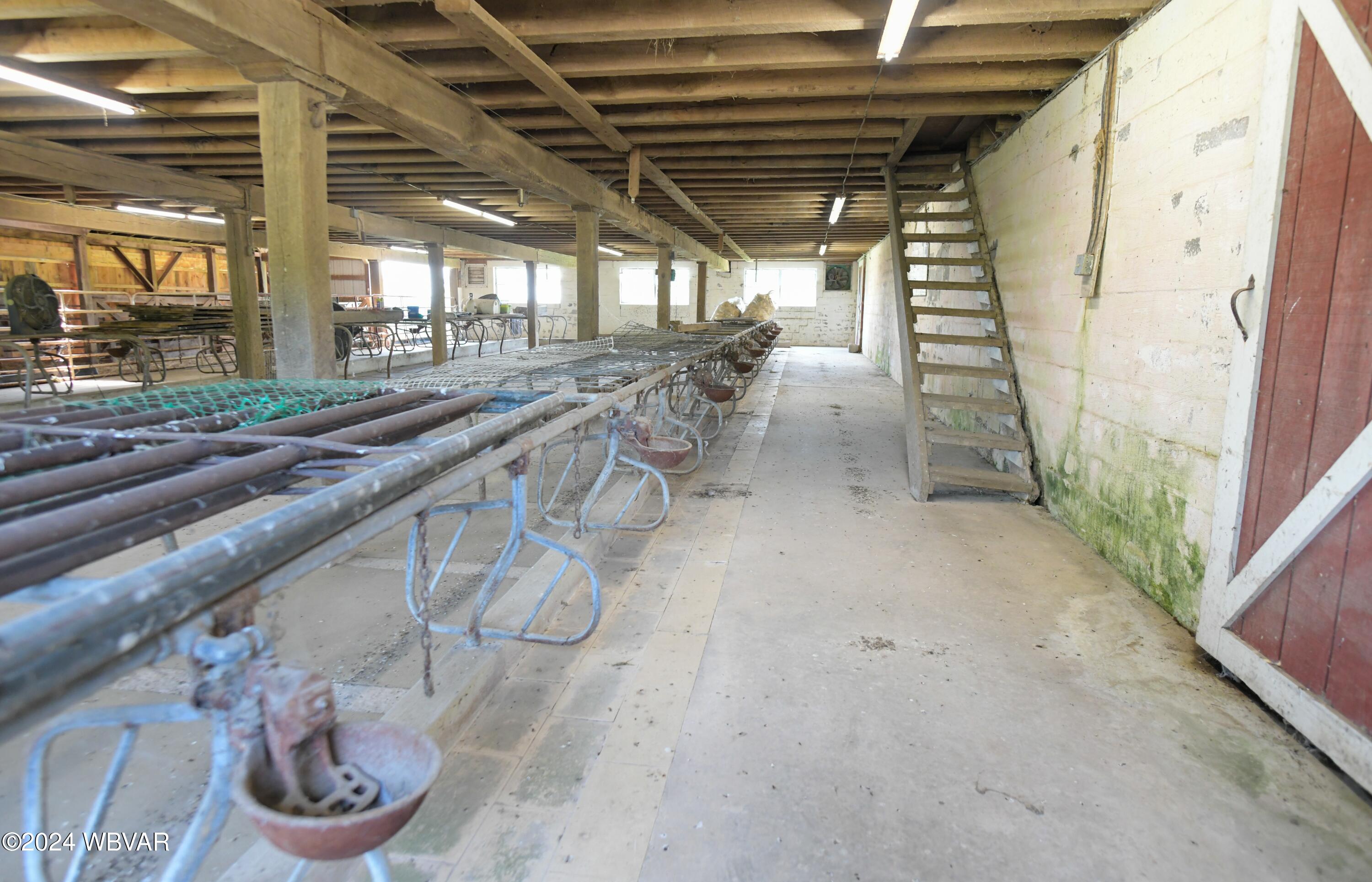 262 Burrell Road Mill Hall, PA 17751 - Photo 32 of 41 Milking Stalls