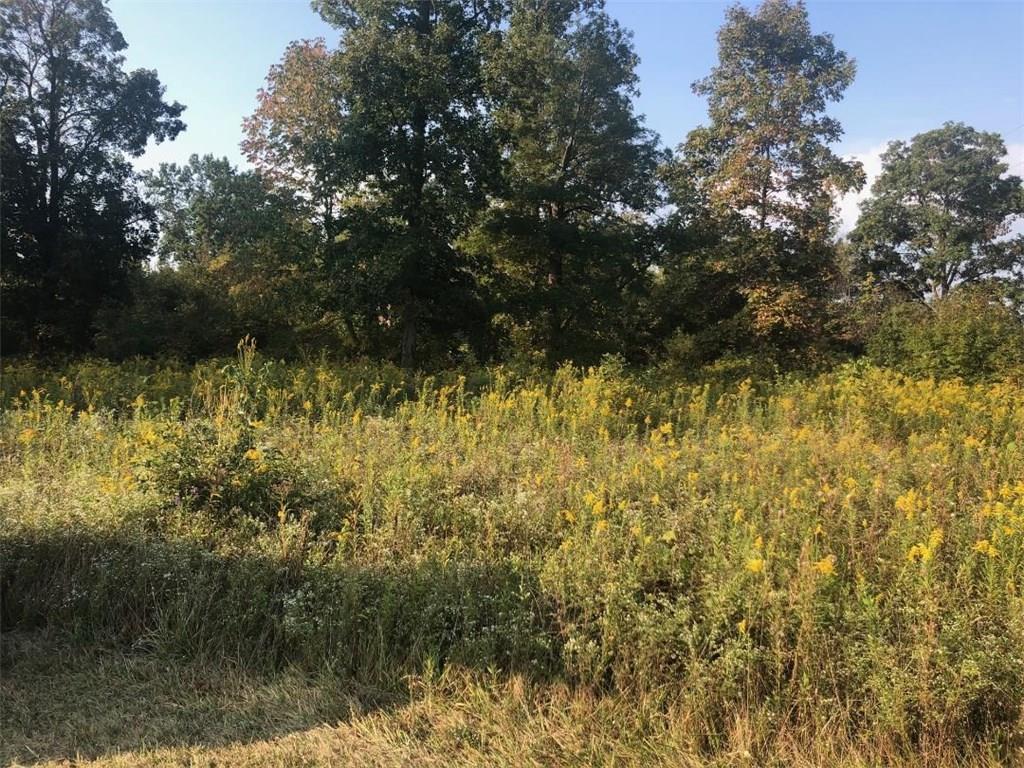 0 Folk Ream Road Springfield, OH 45502 - Photo 2 of 2