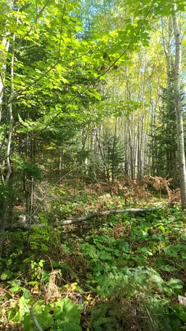 $45,000 | 59-xx Tri Lakes Road, South Range, WI 54874